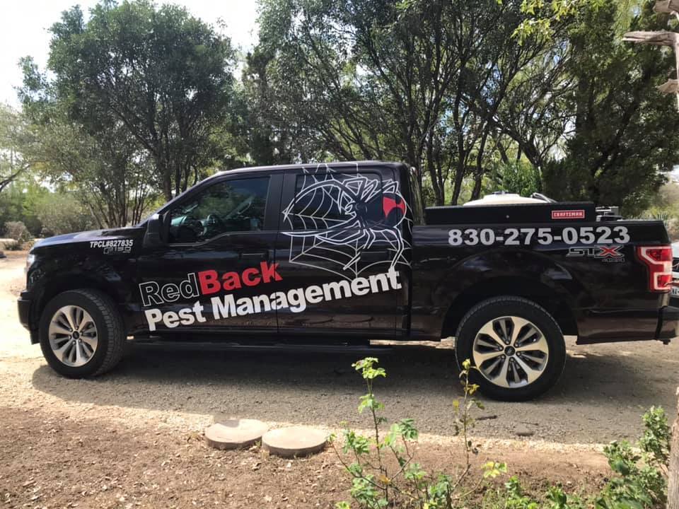 Gallery Images : RedBack Pest Management.